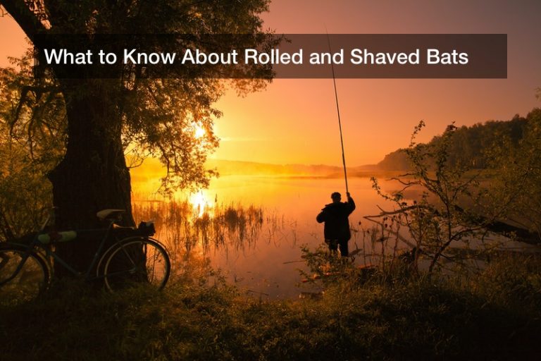 What to Know About Rolled and Shaved Bats Recreation Magazine
