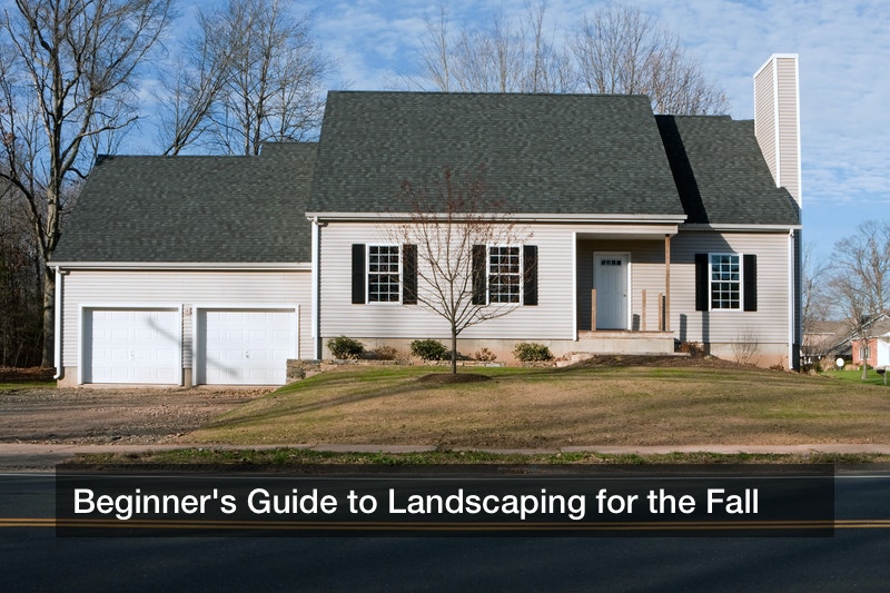 Beginner’s Guide to Landscaping for the Fall