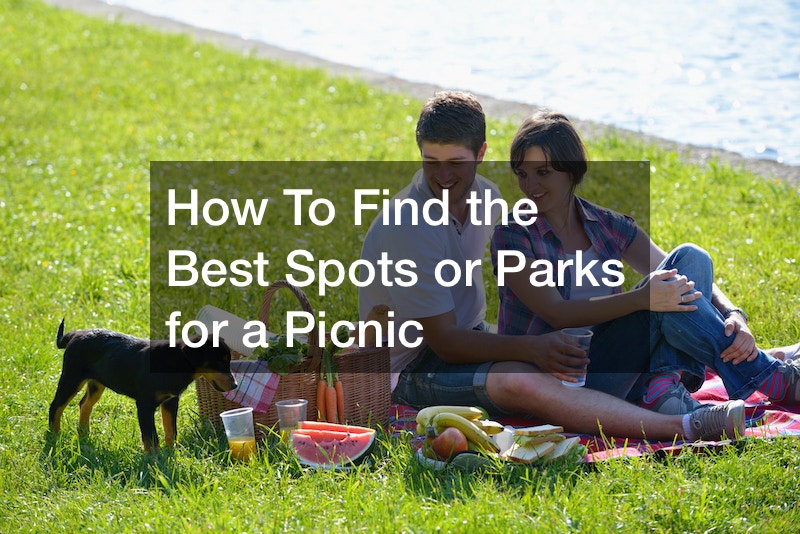 how-to-find-the-best-spots-or-parks-for-a-picnic-recreation-magazine