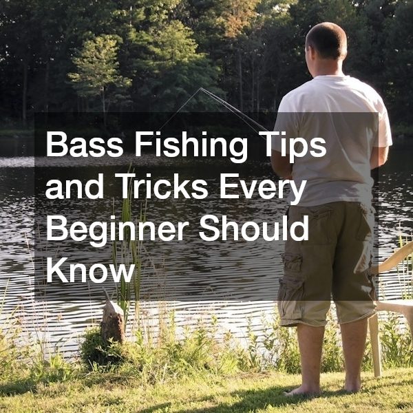 Bass Fishing Tips and Tricks Every Beginner Should Know