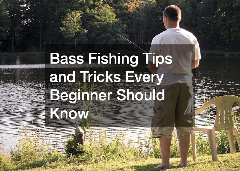 Bass Fishing Tips and Tricks Every Beginner Should Know