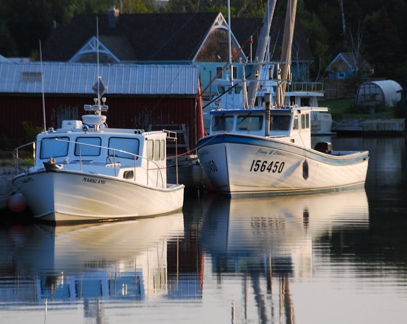 boats