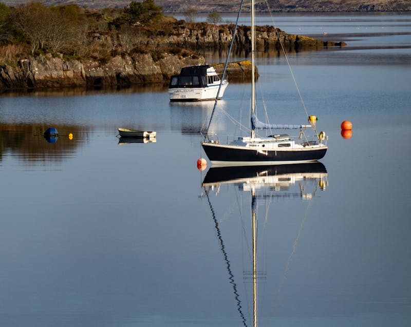 boats and buoys